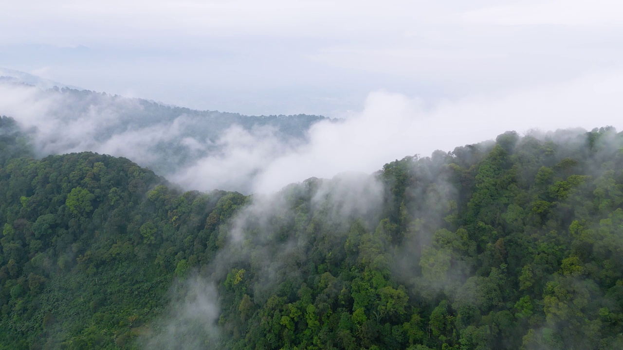 美丽的云在雨林山顶形成视频素材