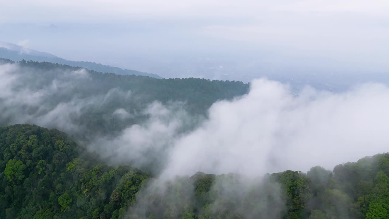 雨林上空云层形成的俯视视图视频素材