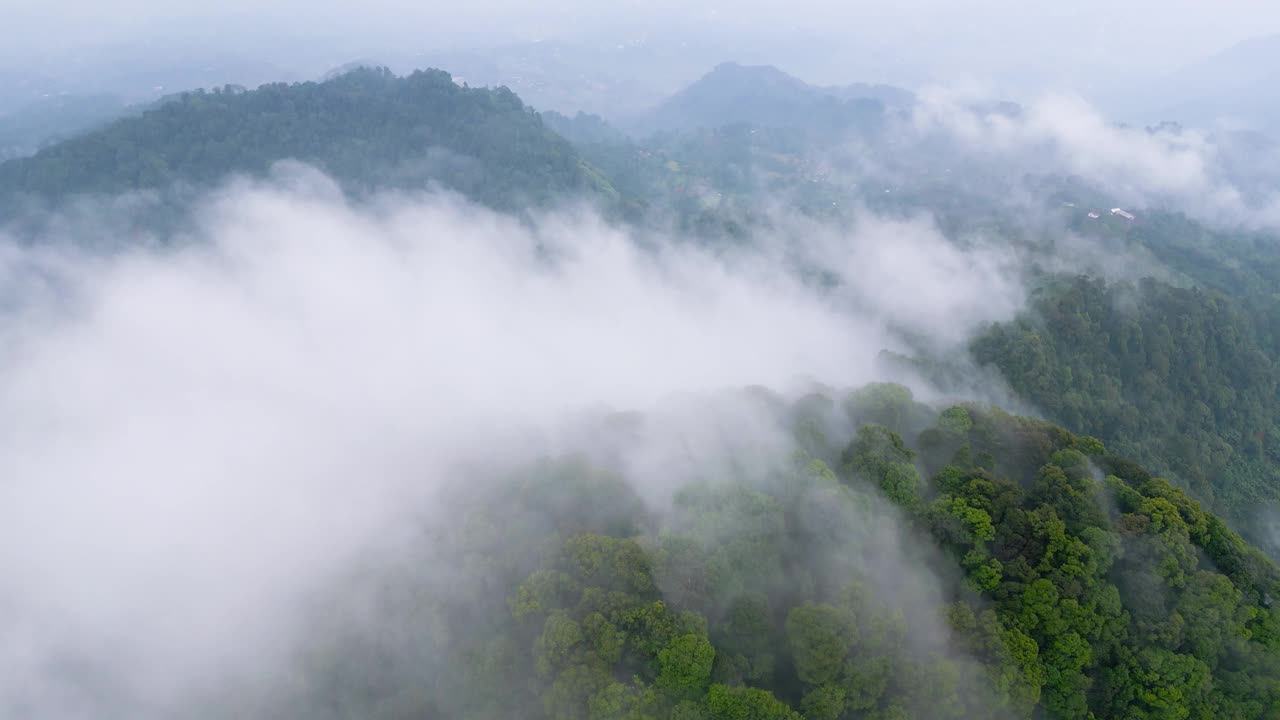 美丽的晨雾云形成在下面的雨林视频素材