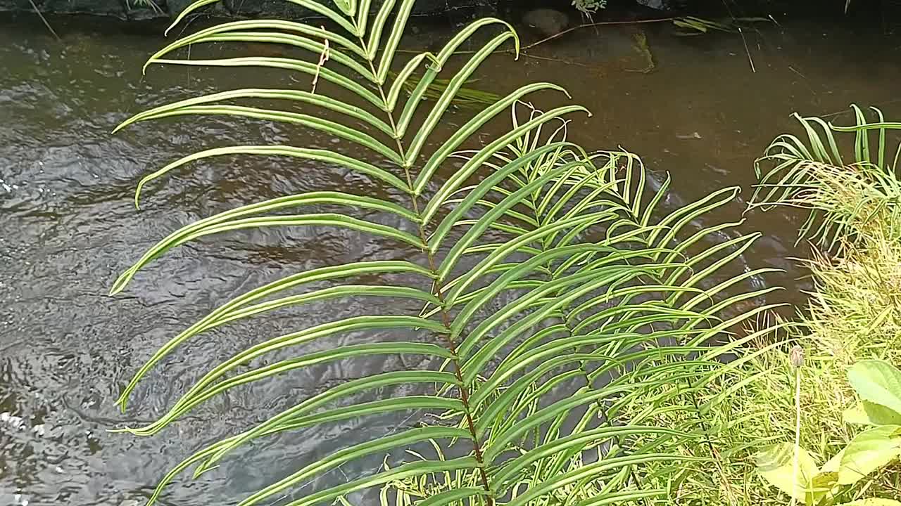 下水道水流视频素材