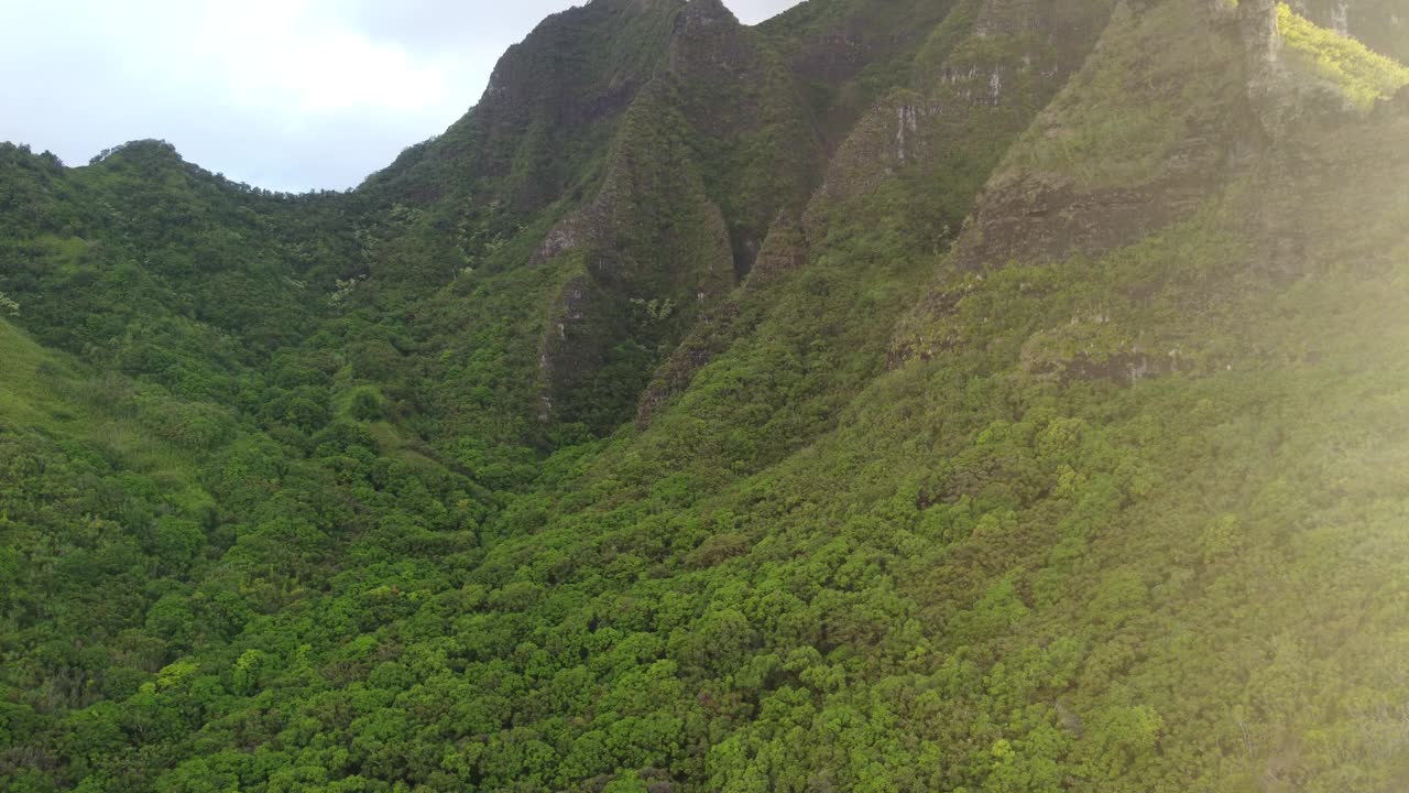 无人机拍摄的森林山脉视频素材