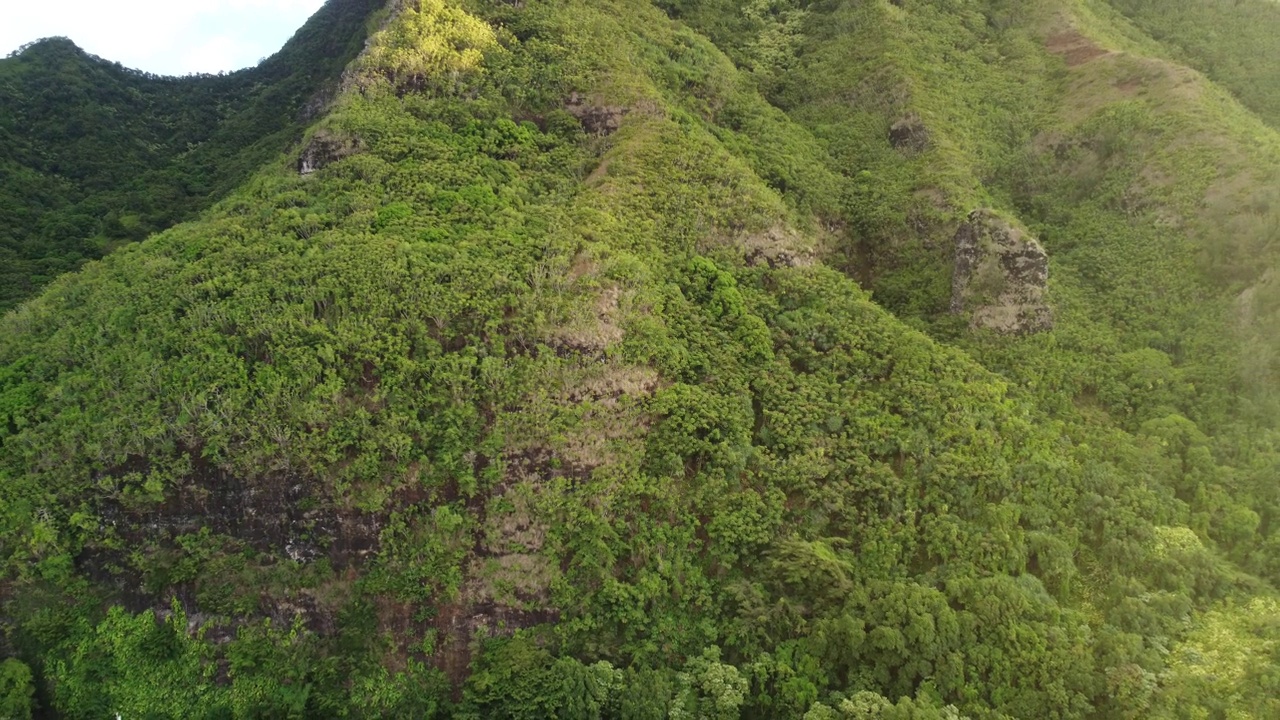 无人机拍摄的森林山脉视频素材