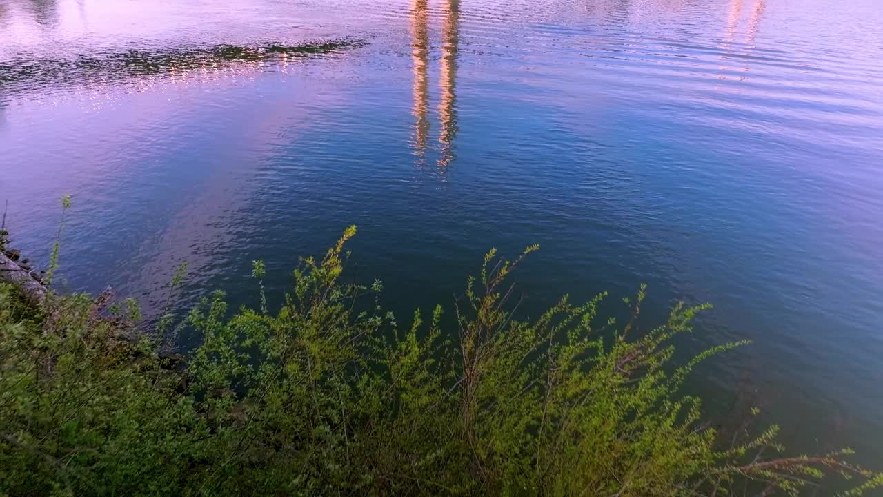 黄金时间空中飞行-在蓝天的日子里，从水面上升到俄勒冈州波特兰市的提利库姆大桥基地和塔楼视频下载