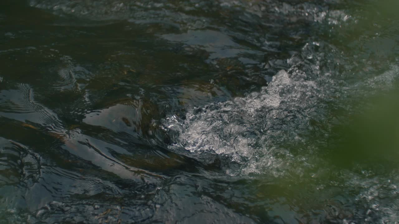 河水逆流而上视频素材