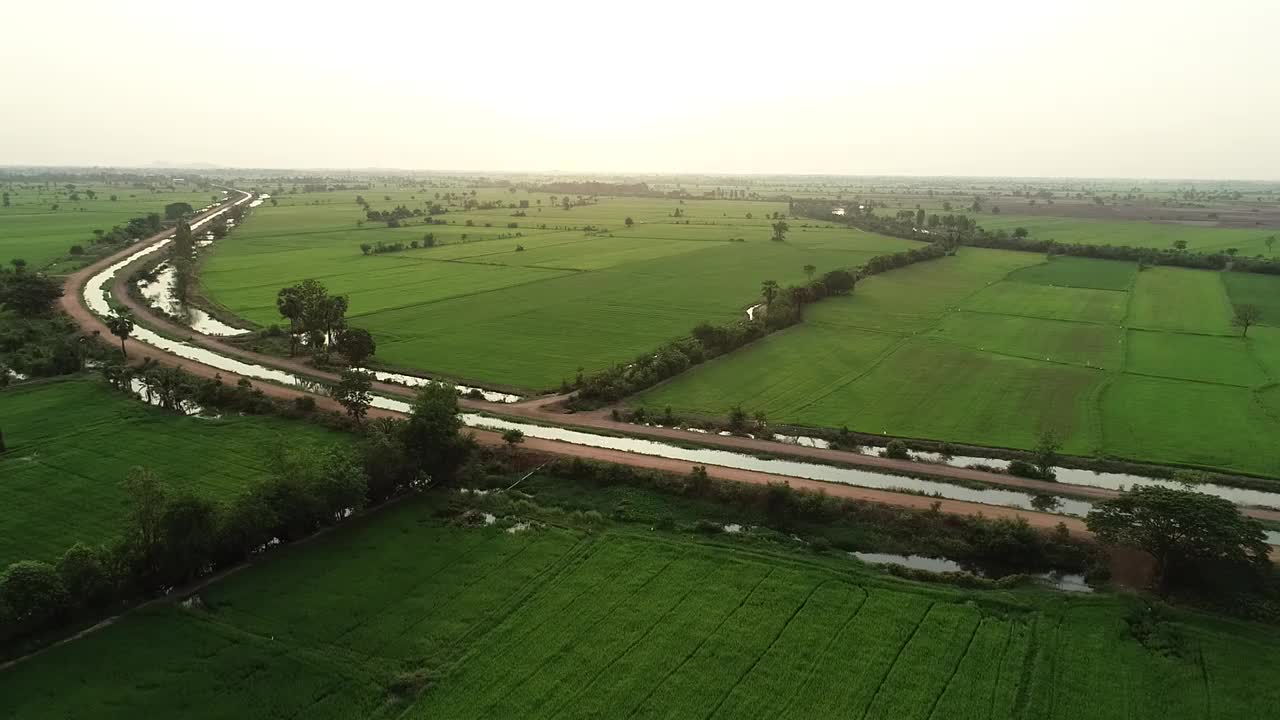 泰国，稻田风光视频素材