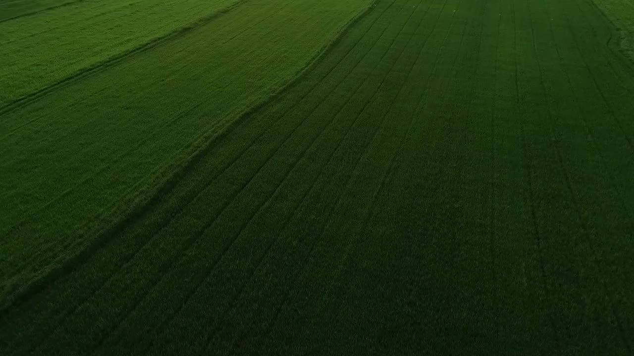 泰国，稻田风光视频素材