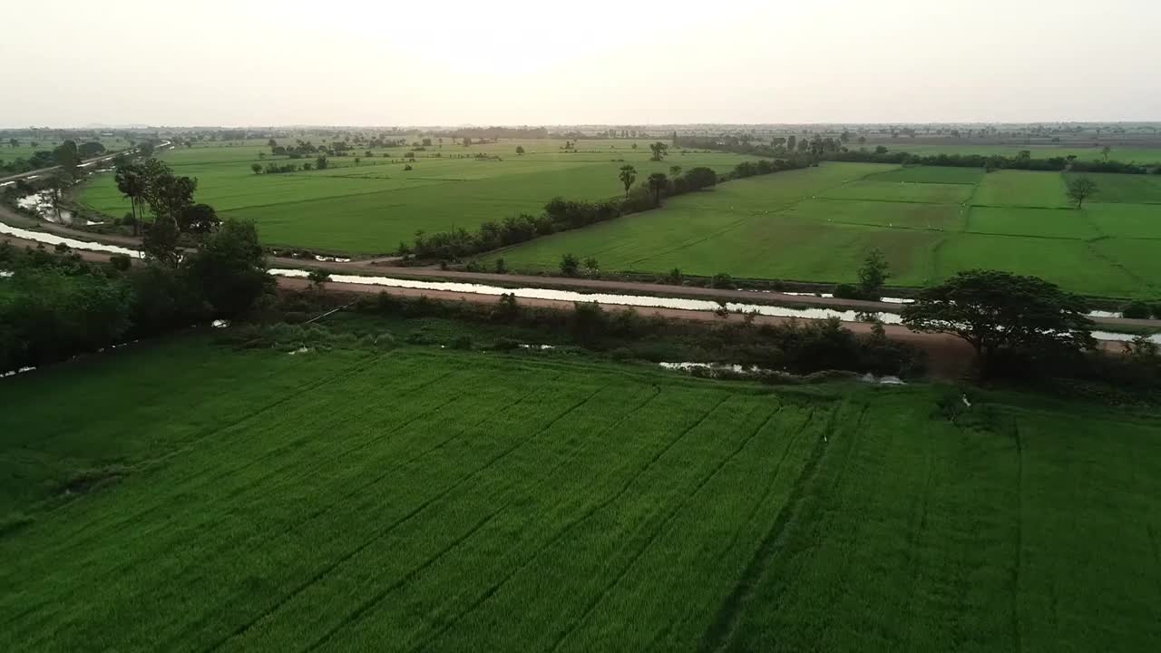 泰国，稻田风光视频素材