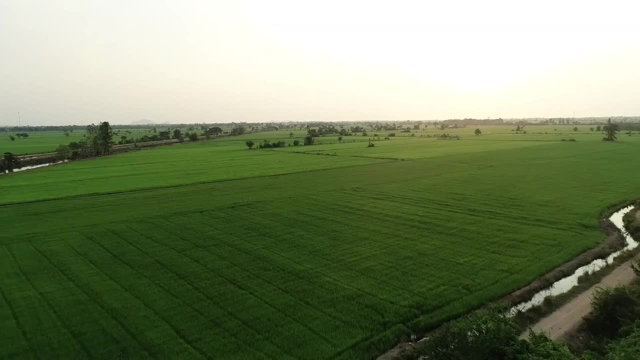 泰国，稻田风光视频素材