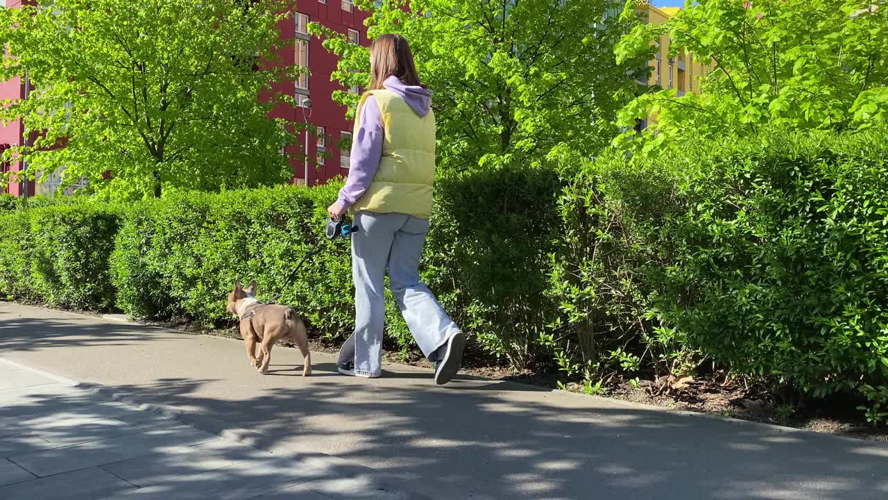 阳光明媚的日子里，年轻市民带着宠物在城市公园散步视频素材