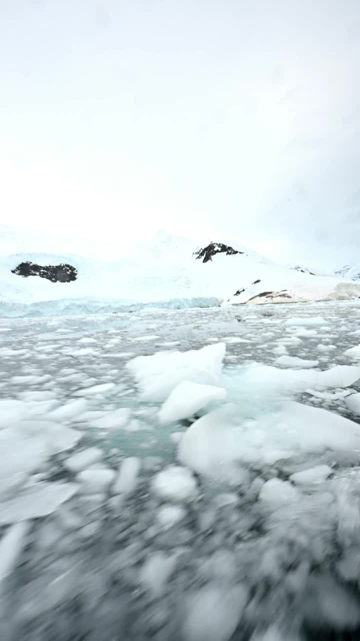 乘坐快艇在南极洲的冰水中巡游视频素材