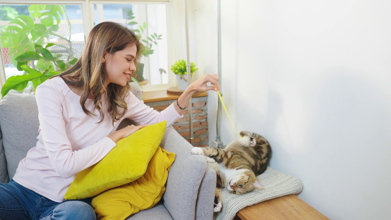 年轻女人在家里干活，抱着一只猫。视频素材