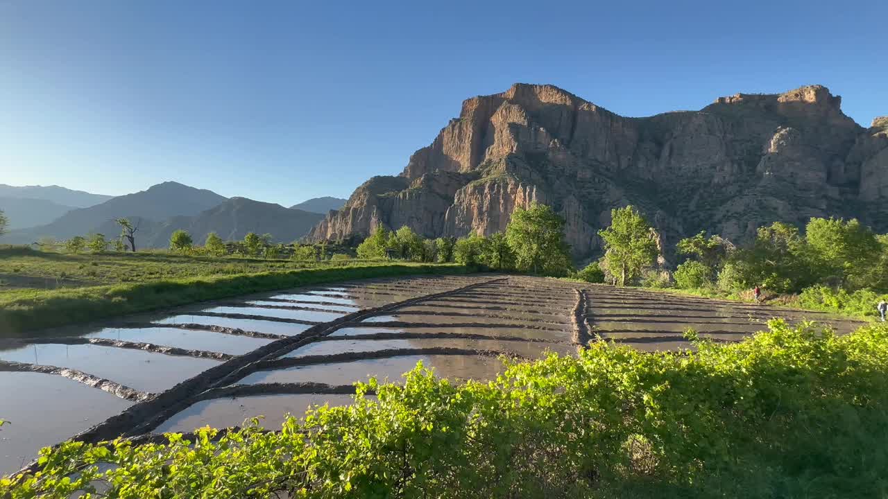 在Çukurca, Hakkari, t<s:1> rkiye水稻种植是通过在群山环绕的平原上用泥浆制造小池塘来进行的。视频素材