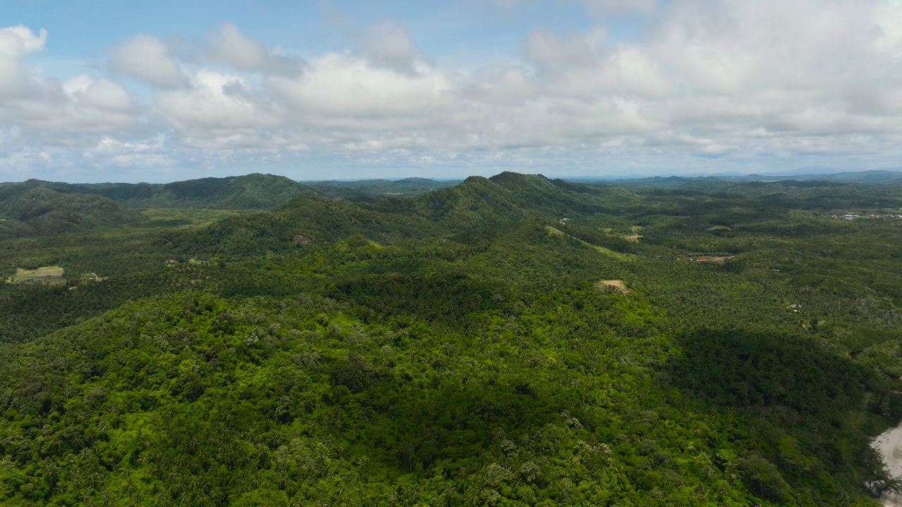 婆罗洲岛上的热带森林。马来西亚视频素材