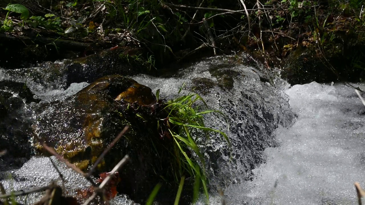 山间河流的清水在石头和植被之间流动。视频下载