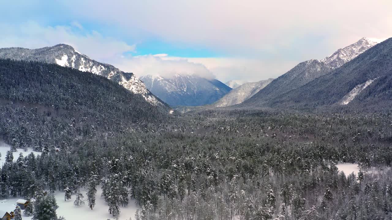 冬天美丽的雪景森林。飞过白雪覆盖的松树。视频素材