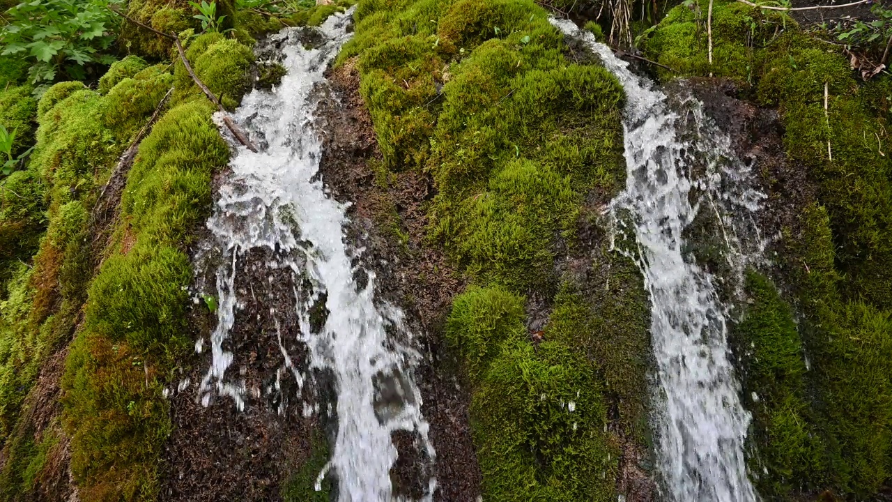 山水青苔视频素材