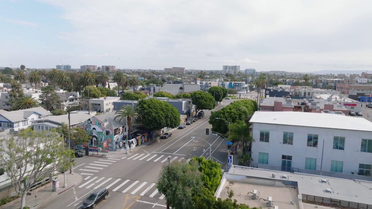 飞机飞过城市的街道和建筑物。道路两旁种着棕榈树。洛杉矶，加利福尼亚，美国视频素材