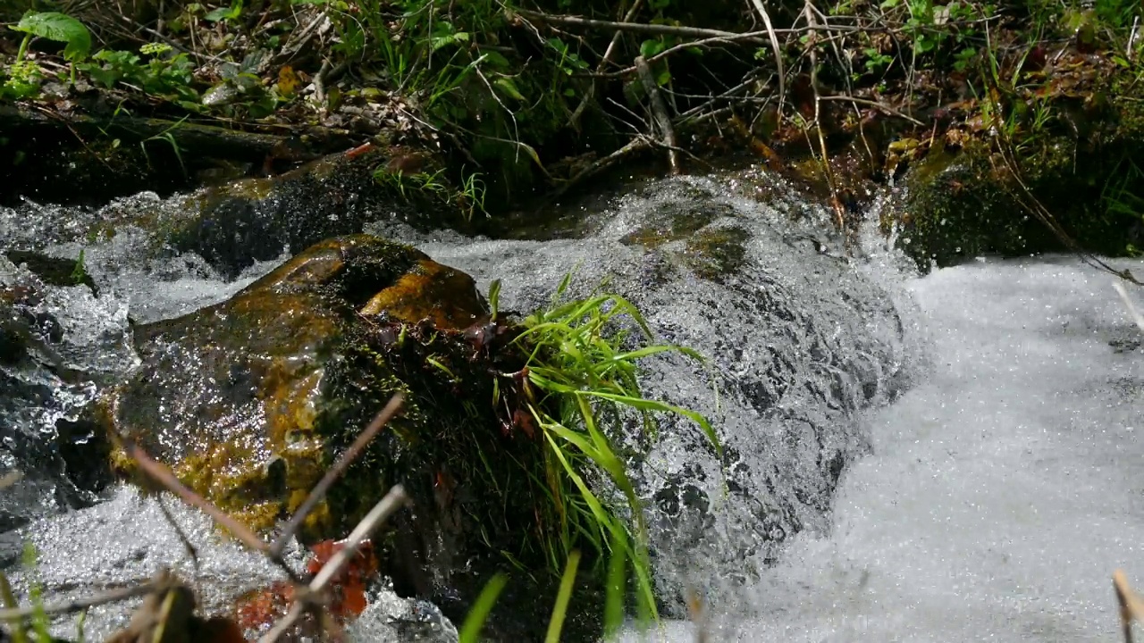 淡水概念。视频下载