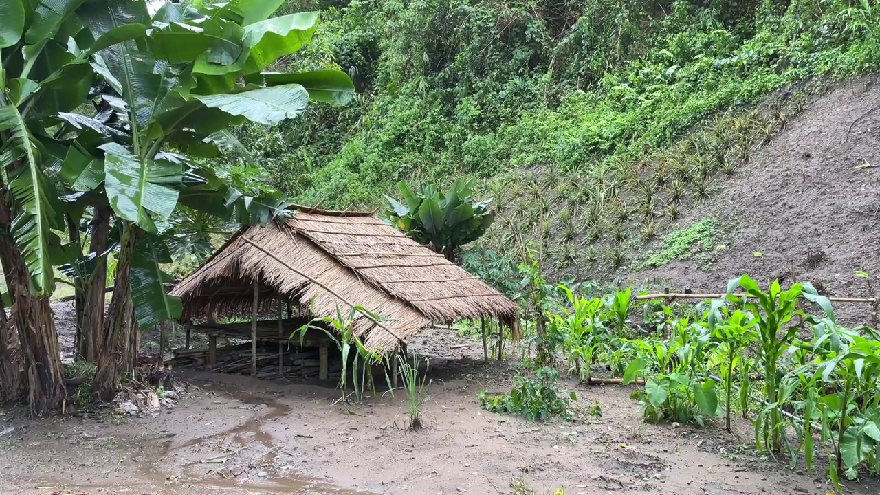 泰国清迈乡村雨后的小屋视频素材