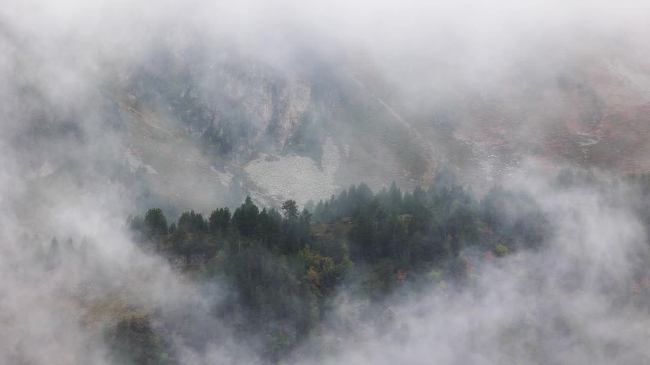 透过晨雾看到美丽的山林景色视频素材