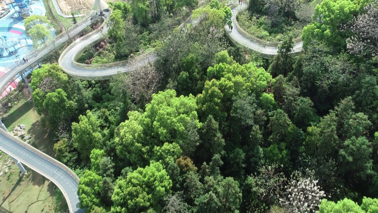 公园里的跑道，绿色的森林视频素材