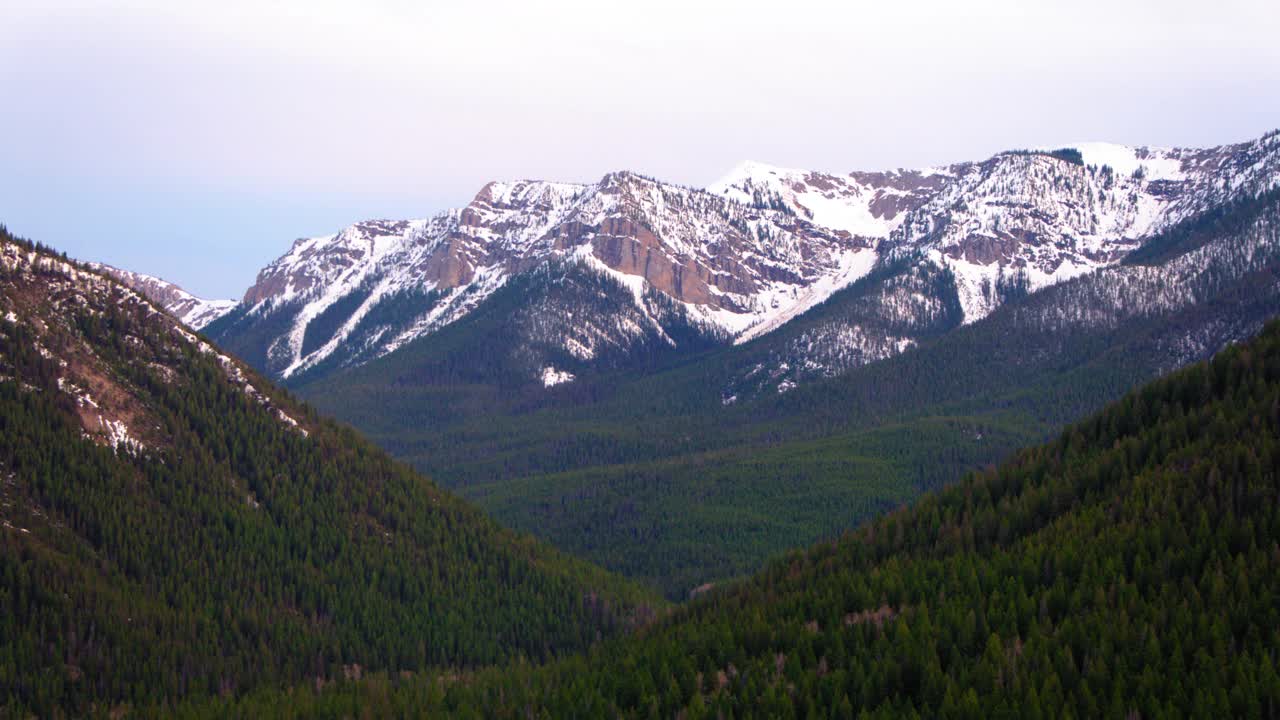 空中平移拍摄的绿色树木在丛林附近的雪山，无人机飞越自然景观对天空- Butte，蒙大拿州视频素材