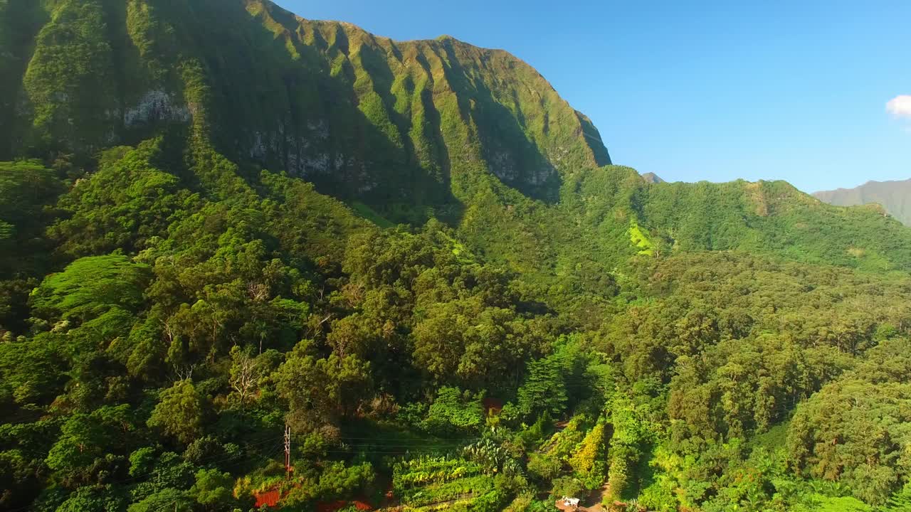 空中平移拍摄的绿色树木在丛林附近的山脉，无人机飞越自然景观-瓦胡岛，夏威夷视频素材