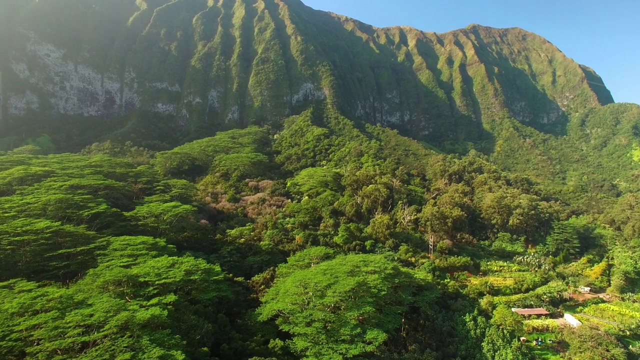 在阳光明媚的日子里，无人机在夏威夷瓦胡岛上空飞行，在山脉附近的绿树中拍摄建筑物的空中平移镜头视频素材