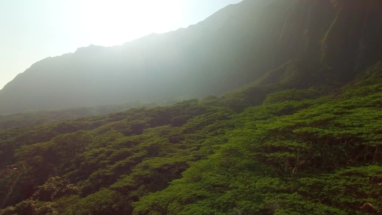 航拍的绿色树木在森林附近的山脉，无人机在自然景观逆空上升，夏威夷瓦胡岛视频素材