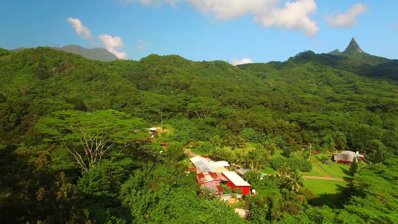 在阳光明媚的一天，无人机在夏威夷瓦胡岛上空飞行，在绿色树木衬托下的村庄里的房屋的航拍镜头视频素材