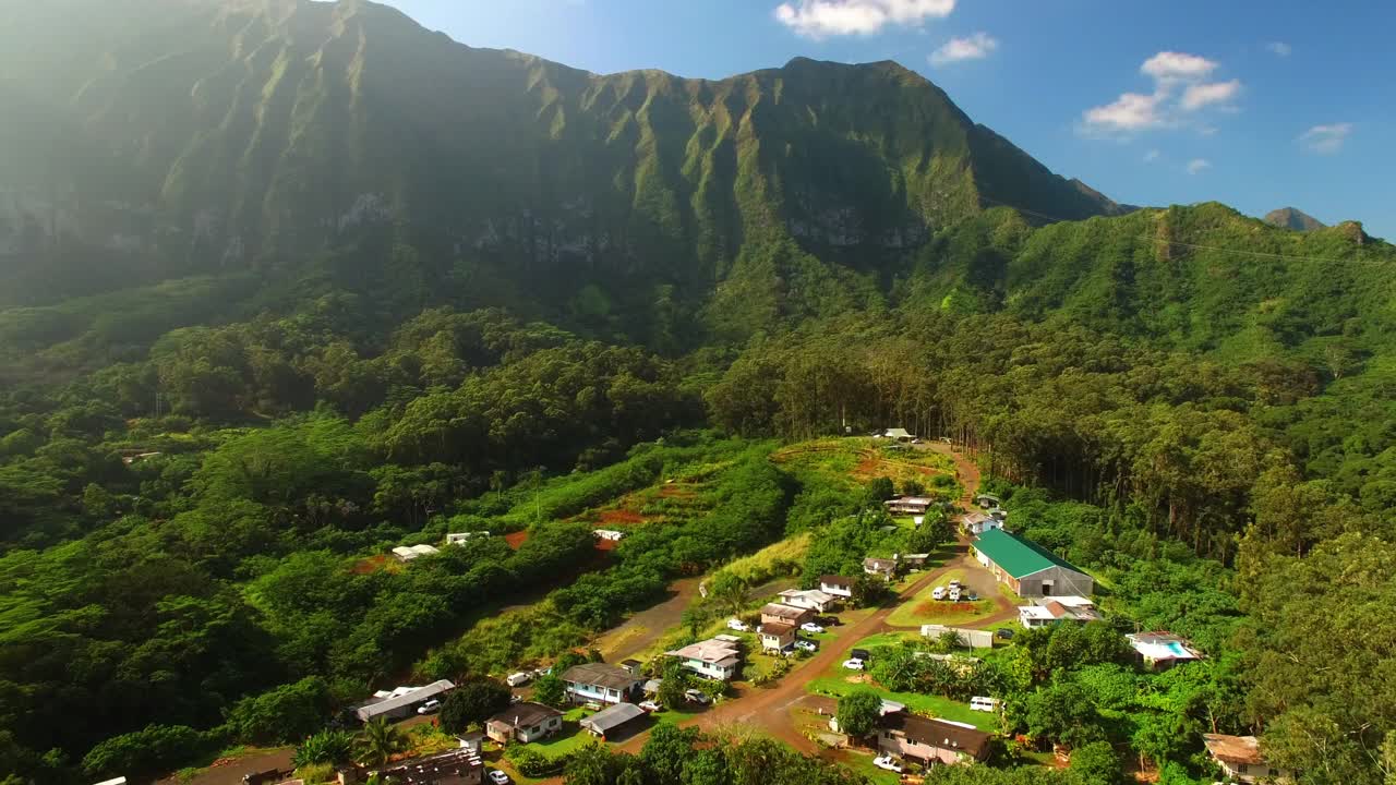 在阳光明媚的日子里，无人机在夏威夷瓦胡岛上空飞行，在绿色树木衬托下的村庄里的房屋的航拍镜头视频素材