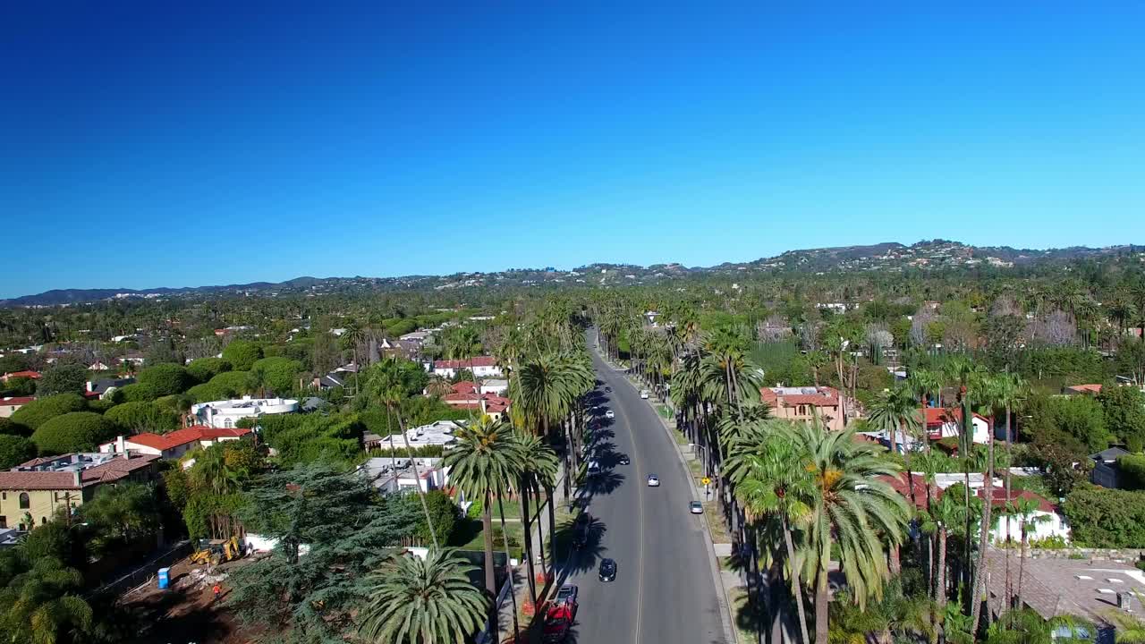 在阳光明媚的日子里，加州比佛利山庄，无人机在街道上的树木与天空之间的航拍照片，在郊区的房屋上空向前上升视频素材