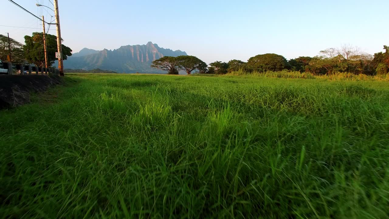 航拍:无人机在日落时在夏威夷瓦胡岛靠近大海和山脉的绿色草地上向前飞行视频素材