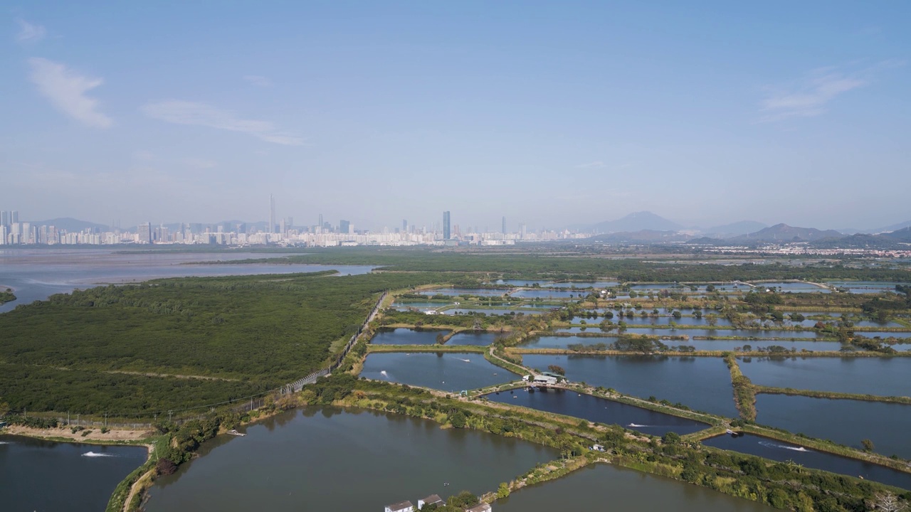 丰乐围鱼塘景观2023年1月6日视频素材