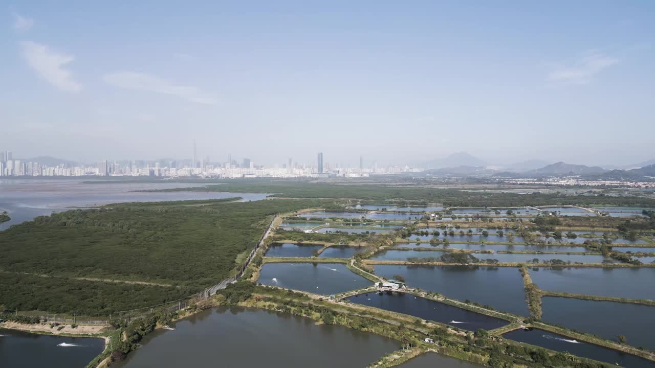 丰乐围鱼塘景观2023年1月6日视频素材