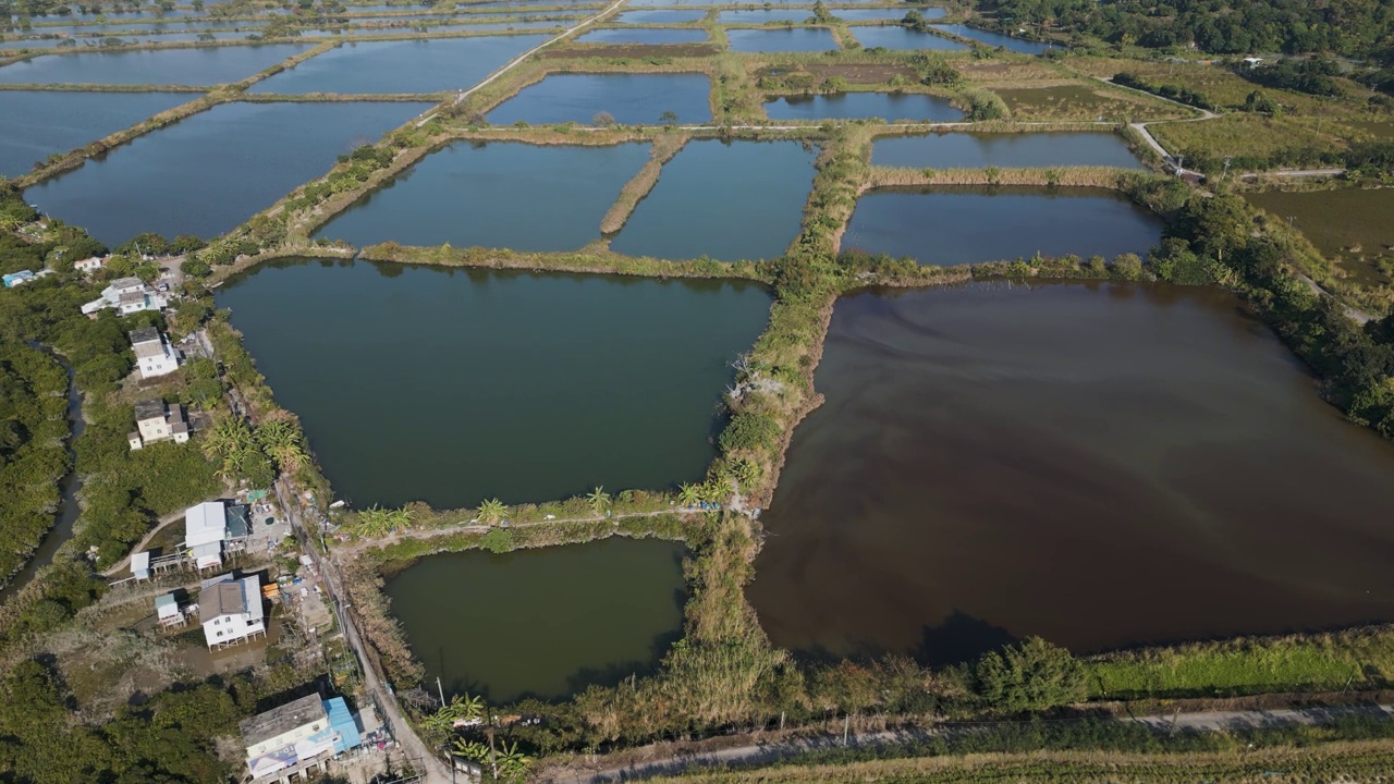 丰乐围鱼塘景观2023年1月6日
链接×标题:
丰乐围鱼塘景观2023年1月6日视频素材