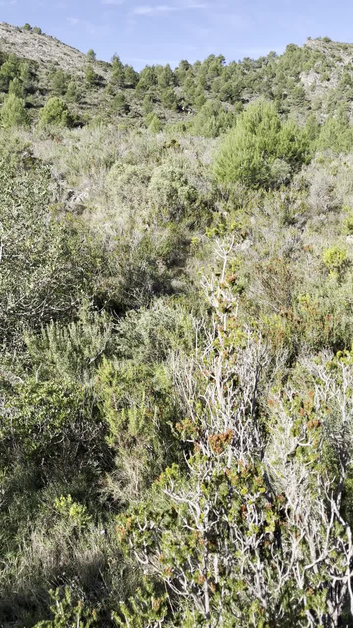 年轻的拉丁运动员在西班牙瓦伦西亚的甘迪亚徒步旅行视频素材