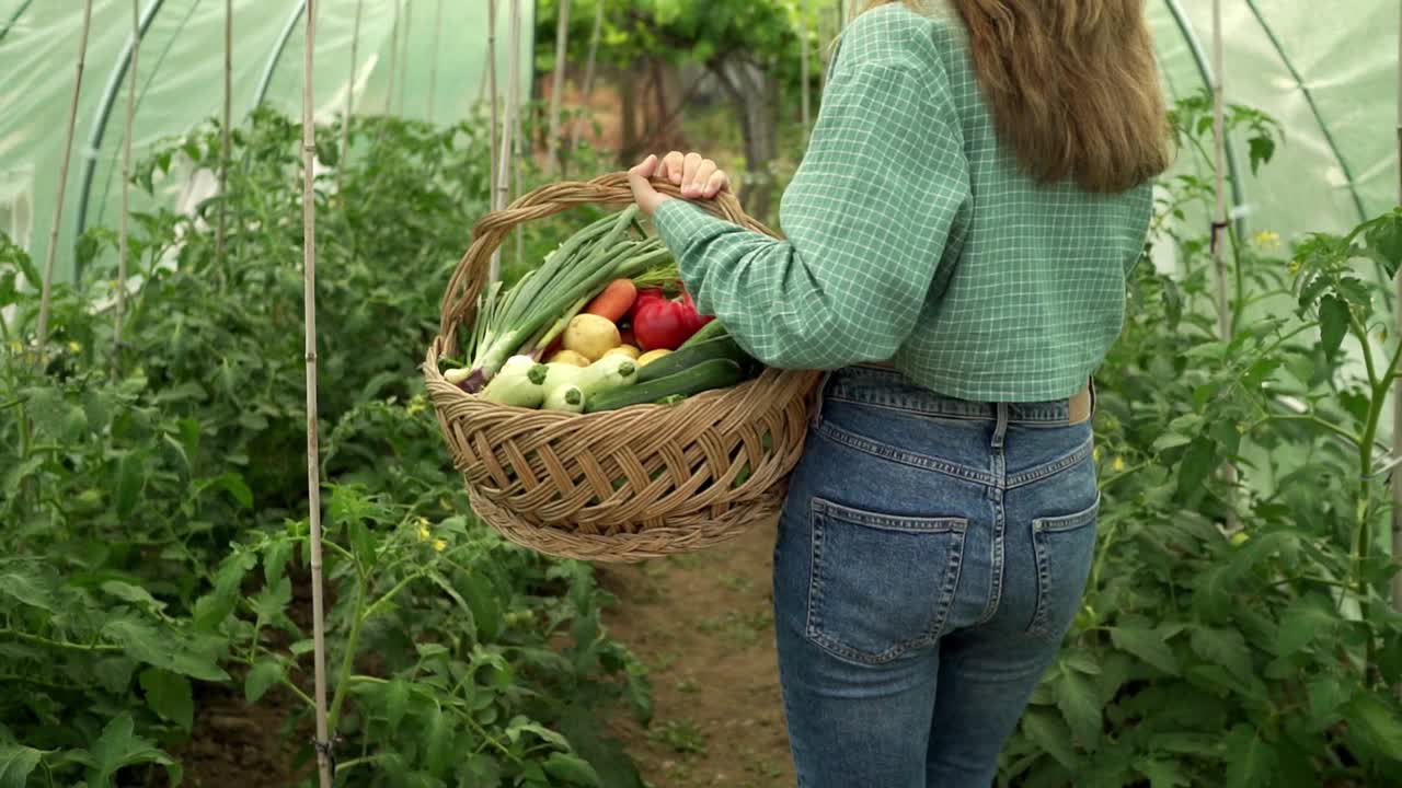 一个女人背着一篮子蔬菜走过塑料温室的背影视频素材