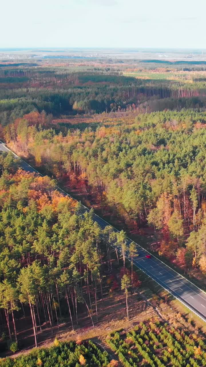 现代高速公路上的汽车穿过森林景观。垂直视频视频素材