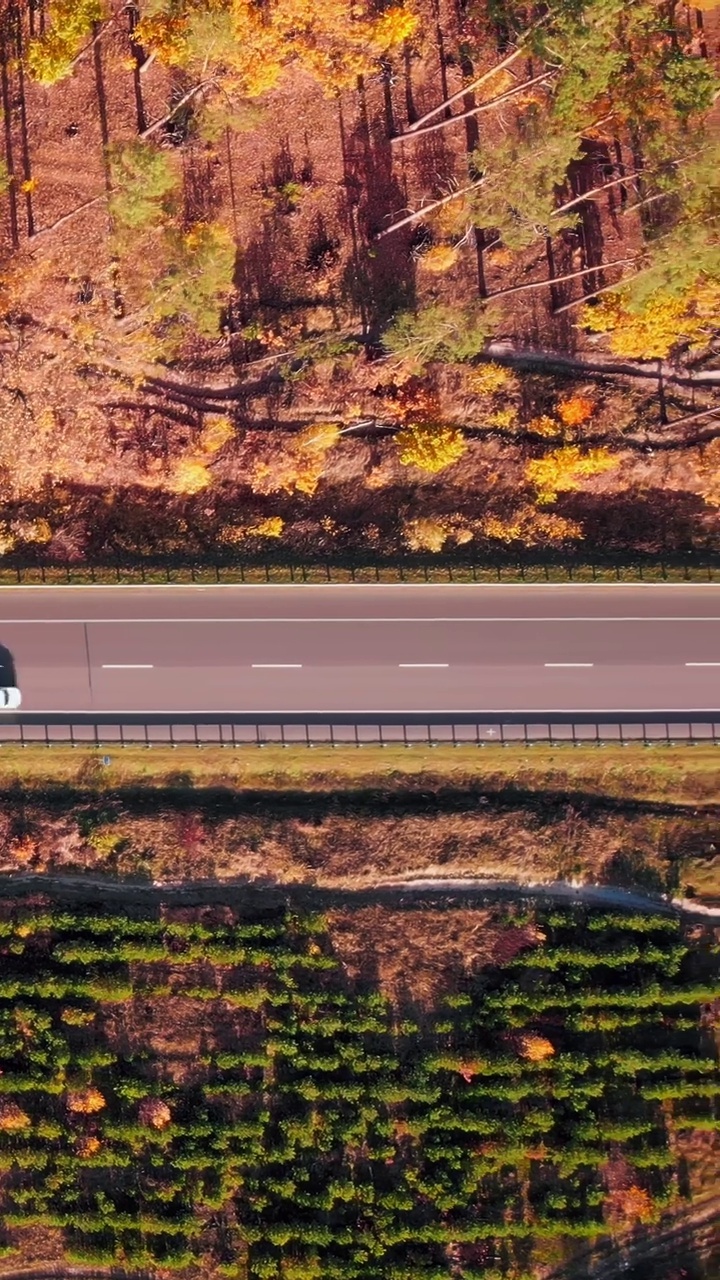 汽车沿着现代高速公路穿过森林。垂直视频视频素材