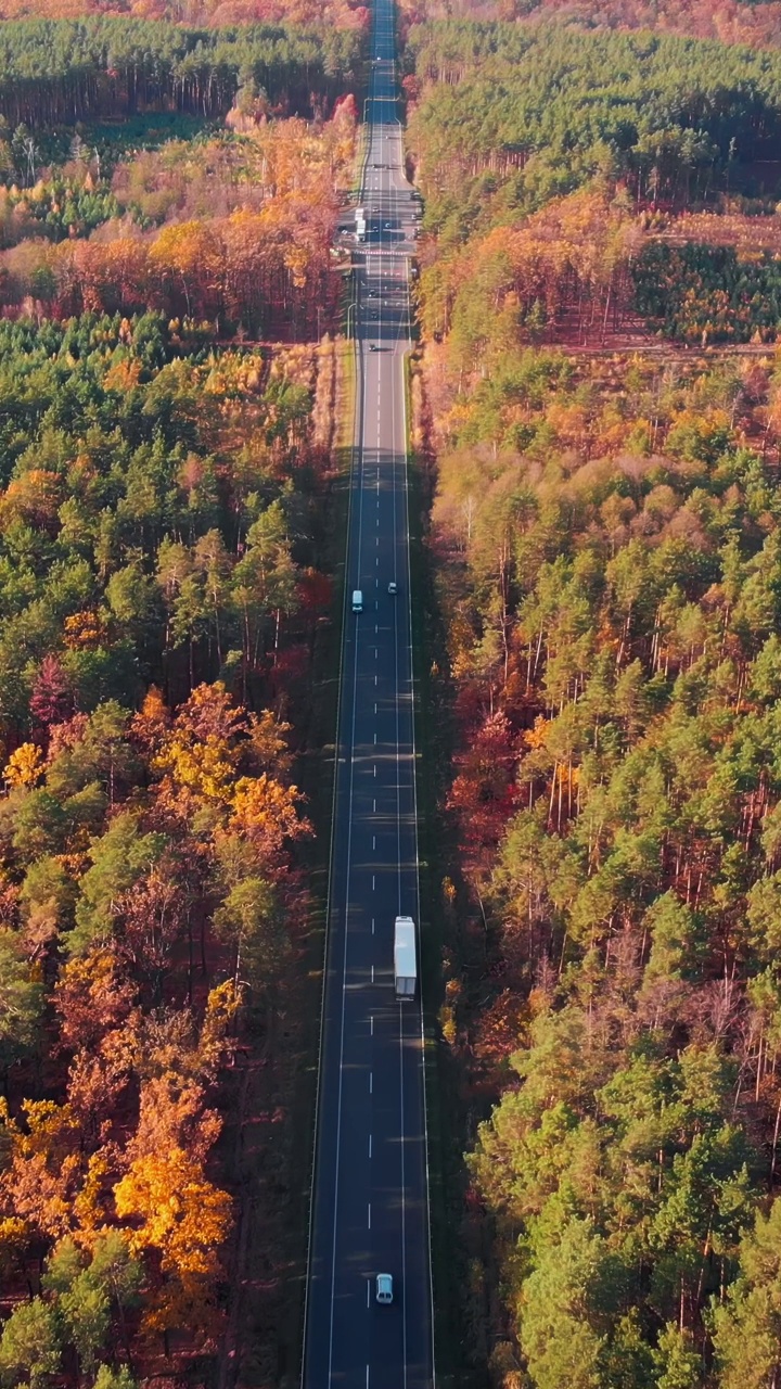 多线高速公路，车辆沿着秋天的森林快速移动。垂直视频视频素材