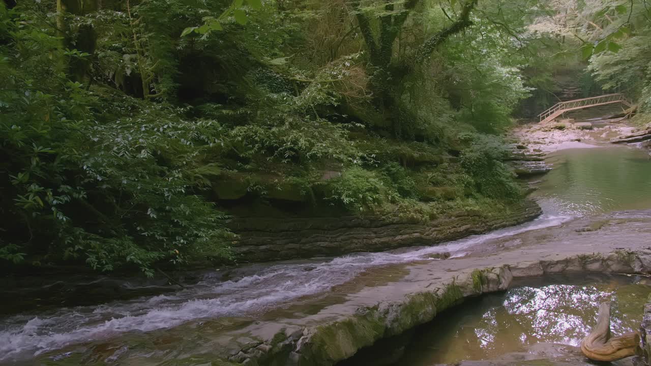 一条小山河在丛林中流淌。有创造力。透明的河流里有棕色的石头。有波浪和岩石的小河。背景中有一个梯子视频素材