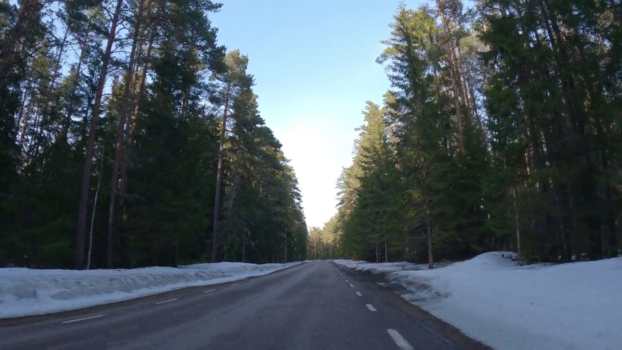 穿过森林中有高大树木的道路视频素材