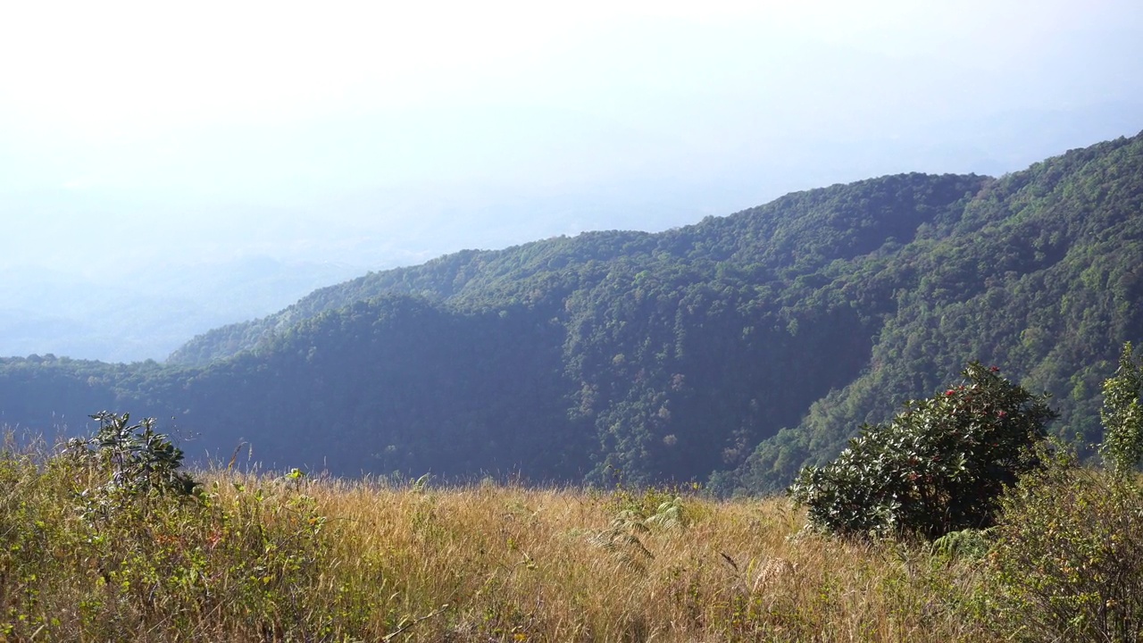 美丽的风景山绿田野草草地白云蓝天在晴朗的日子。雄伟的绿色风光，大山，丘陵，云景，山谷，全景，在农村绿色牧场。视频素材