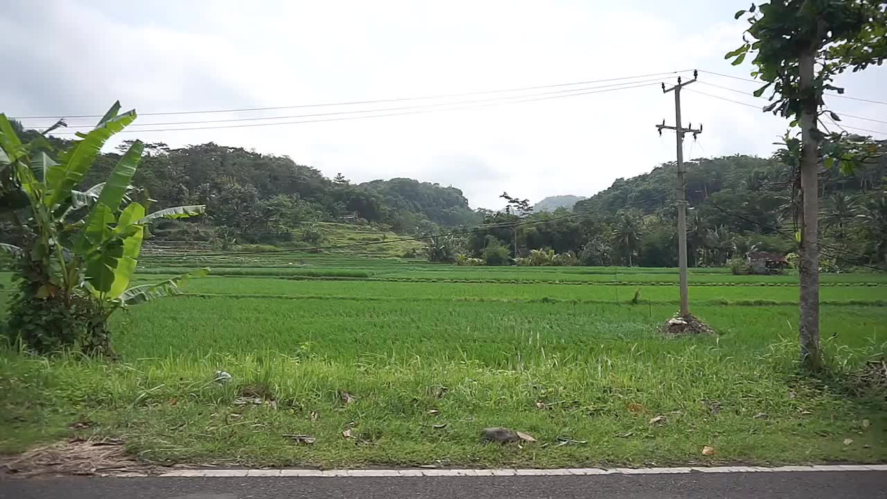 美丽的旅程，绿色的稻田，美丽的自然山景视频素材