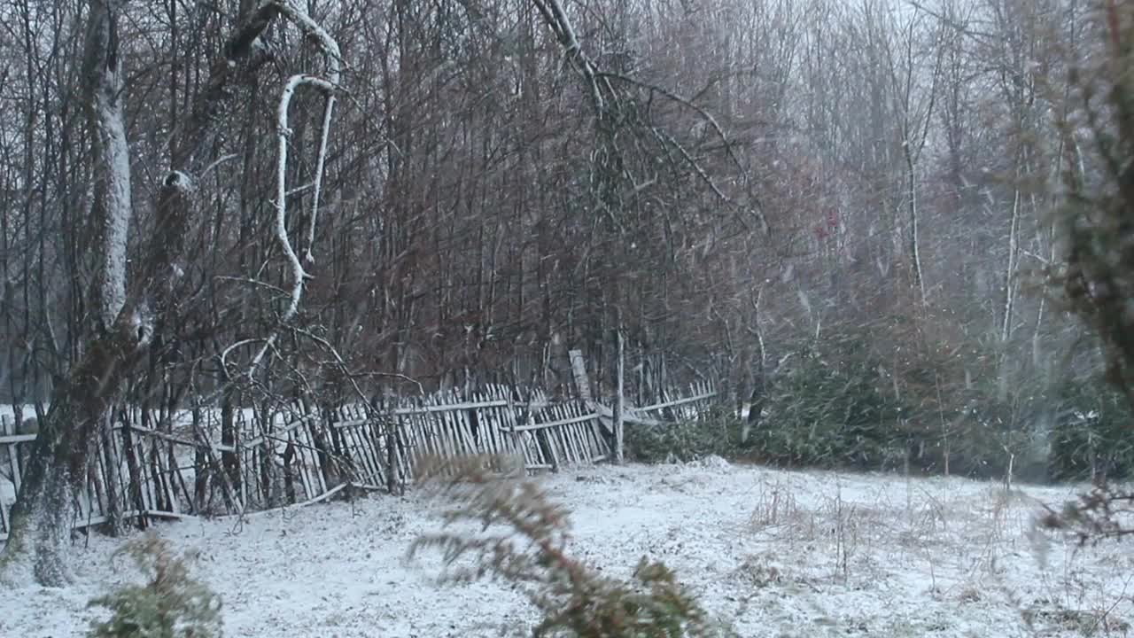 花园里的雪视频下载