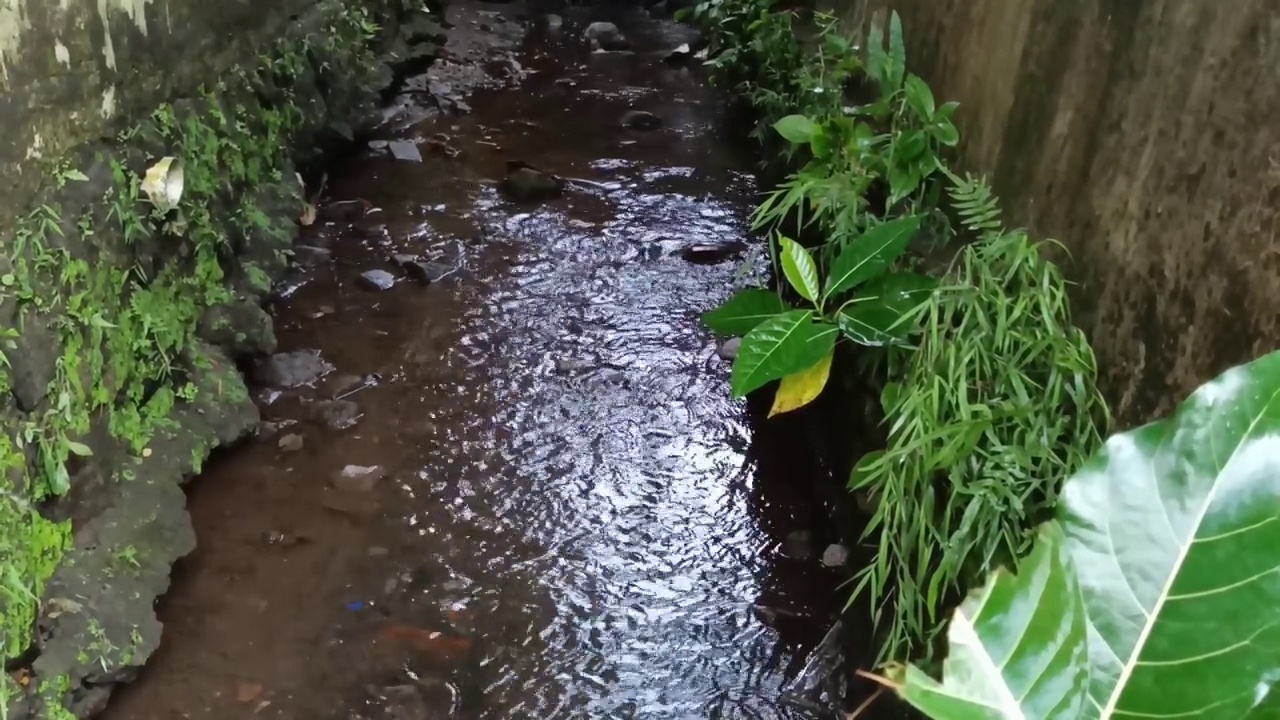 河水的流动视频素材