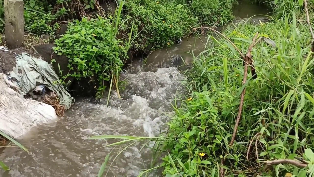 河水的流动视频素材