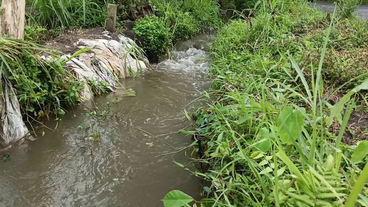 河水的流动视频素材