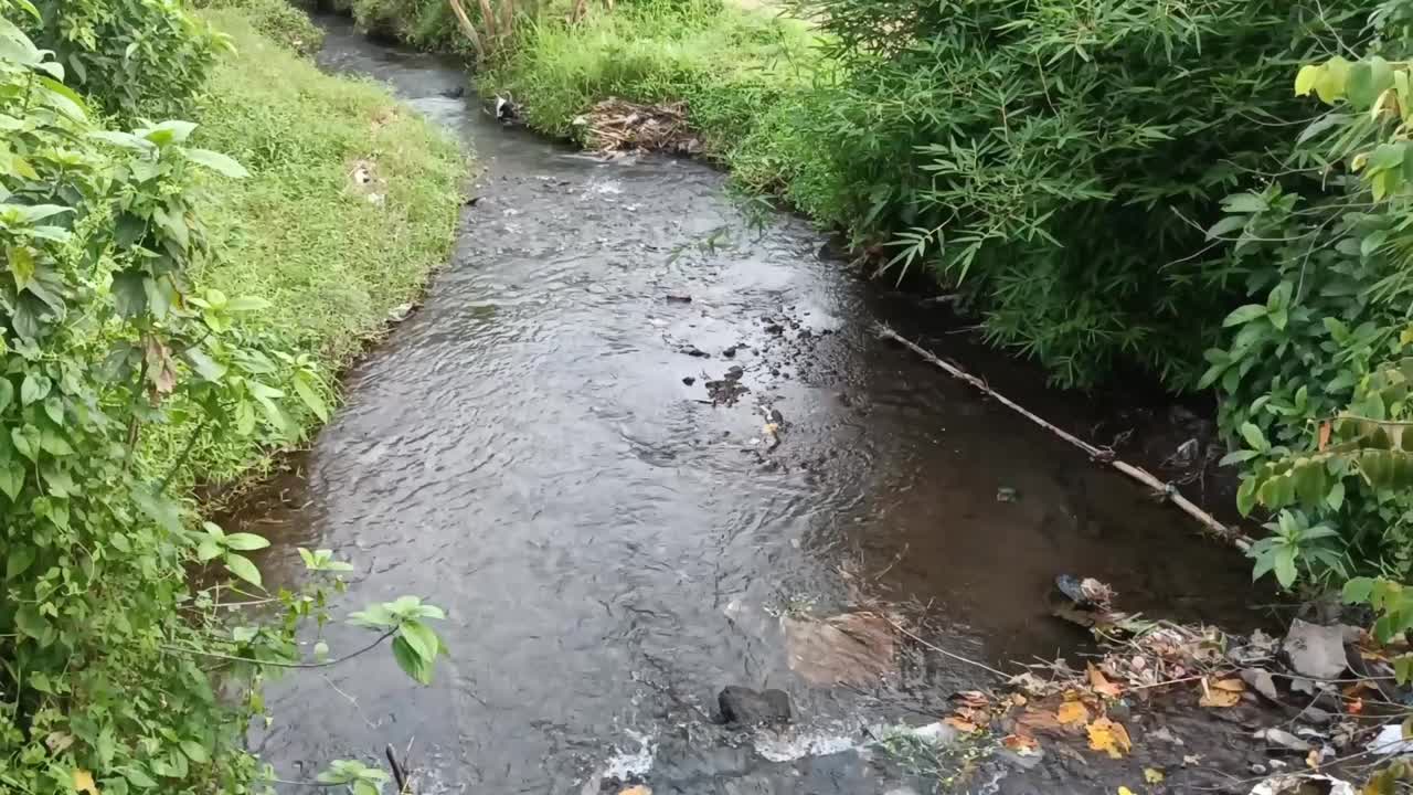 河水的流动视频素材